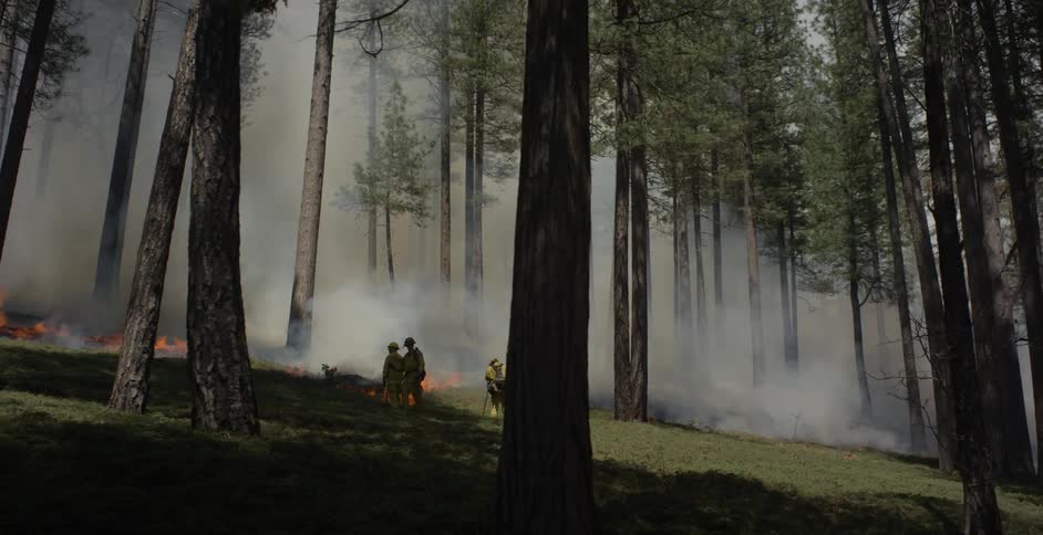 People standing in a smoky forest with small fires burning