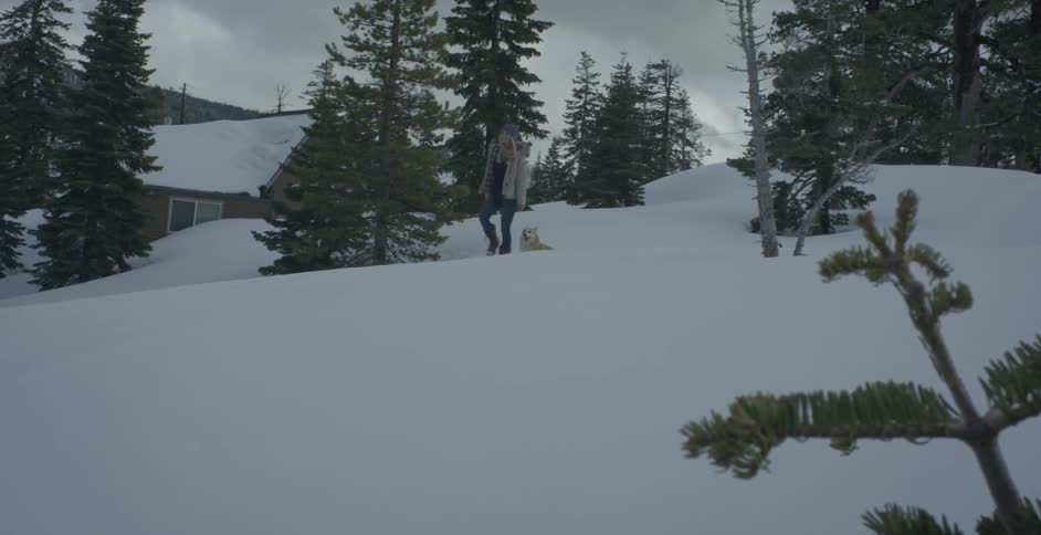 A woman walks in a snowy forest with a dog