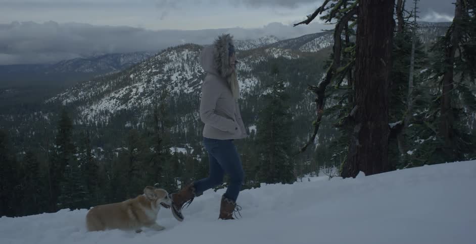 A woman is walking with her dog up the slope