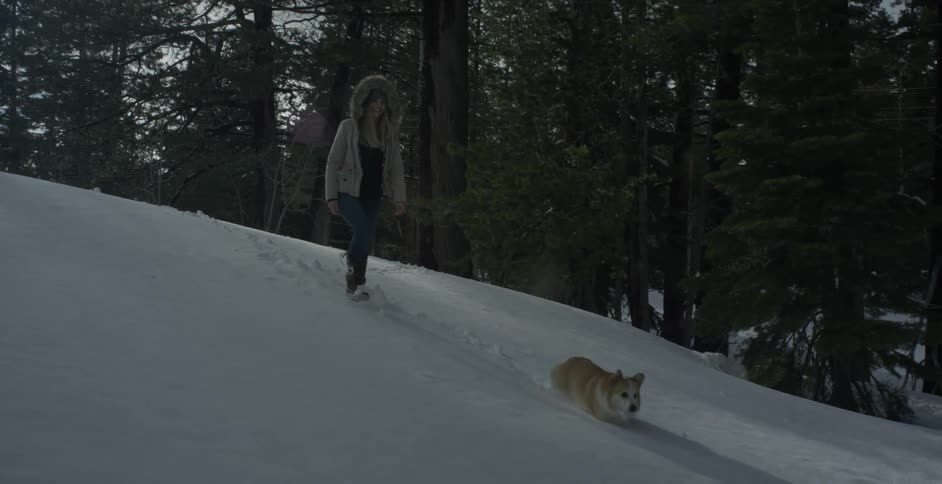 A woman walks with her dog down the hill