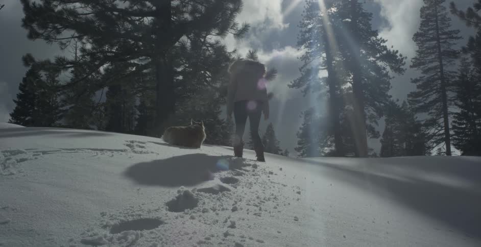 A woman and her corgi are walking on a snow-covered hillside in daylight