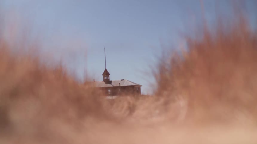Past the tall grass is a house