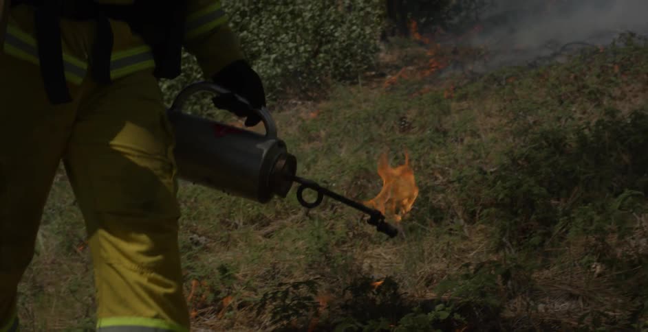 Person uses a torch to set grass on fire