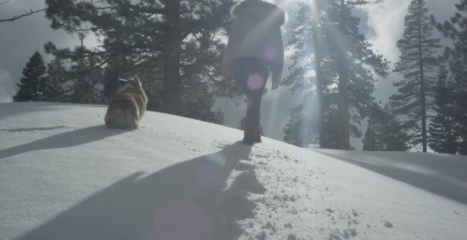 A woman is walking with a corgi in a winter landscape