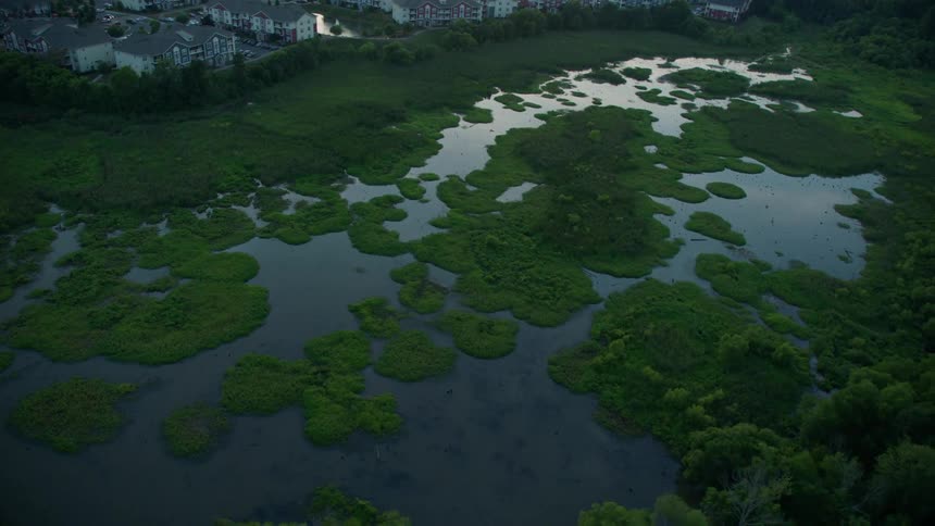 Marshland behind a neighborhood is viewed from above