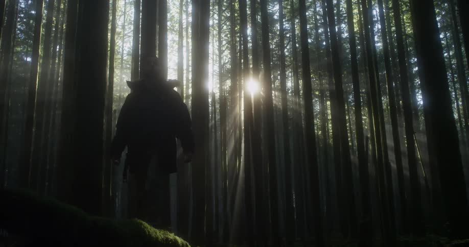 A man walks through the dark forest