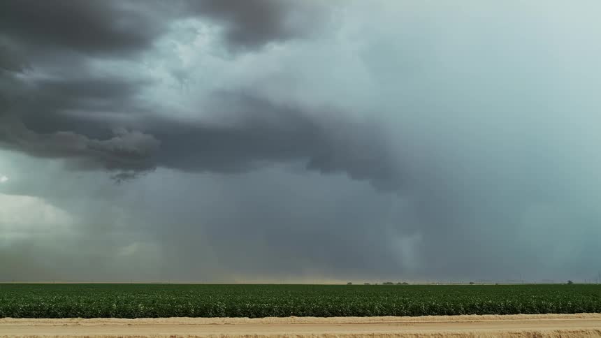Lightning flashes and strikes the ground as a storm moves across farm fields