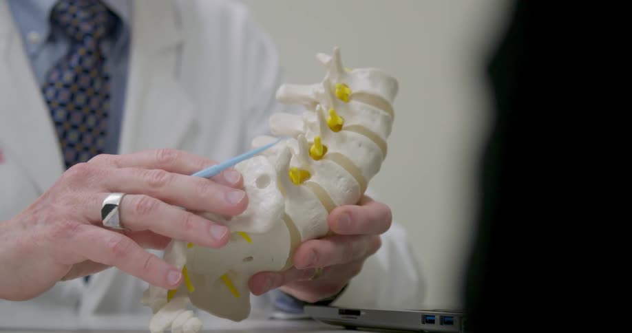 A doctor shows a patient a display of a spine