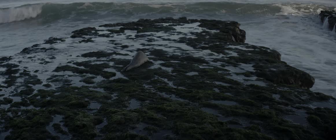 Waves crash into the rocky shore
