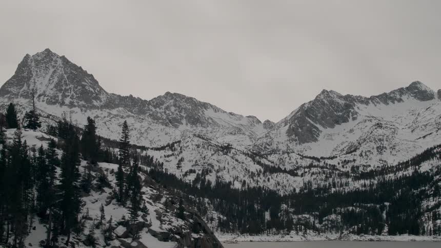 The mountain is covered with some trees and snow