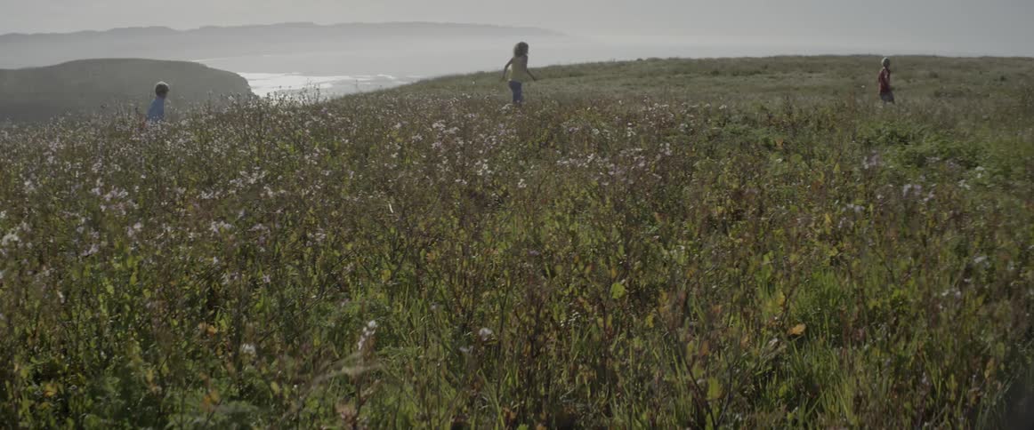 Children run in a field of tall grass and wildflowers