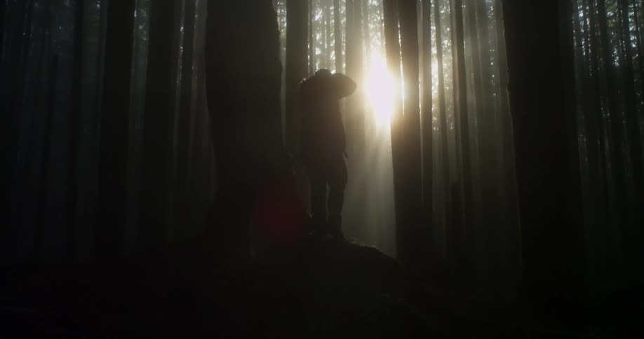 A person is standing with his head hung down in the forest