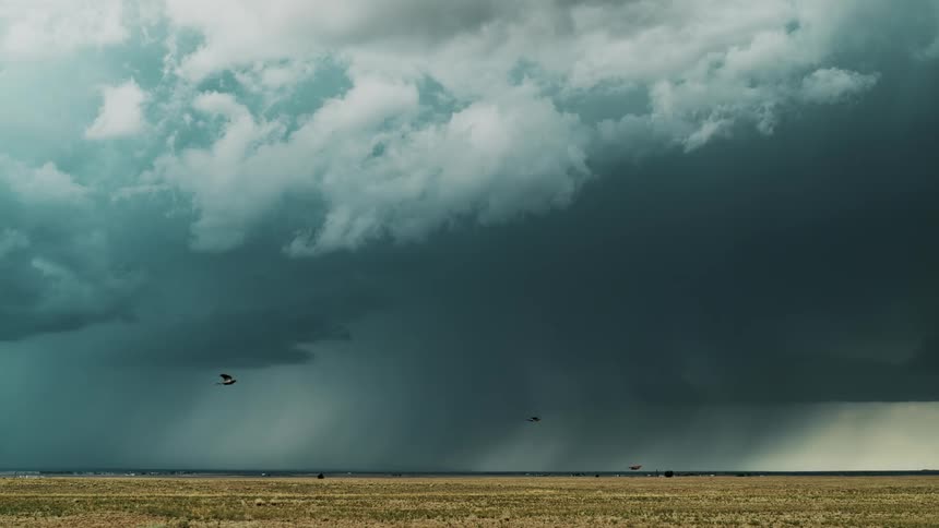 Birds fly across a field as a lightning storm approaches in the distance