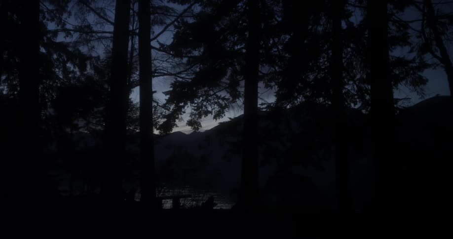 Woody hills at night