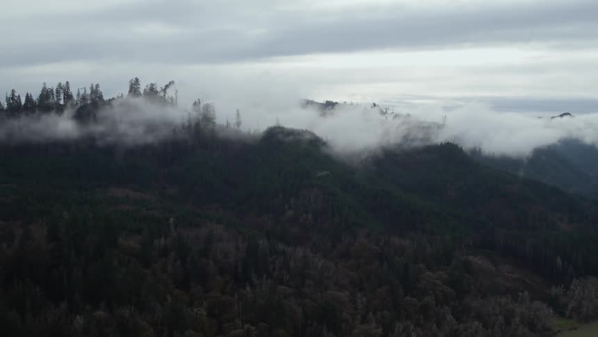 Mist floats around the tree covered mountains