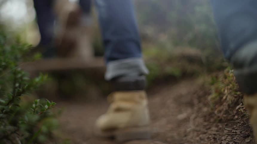 Two people climb some steps in the wilderness