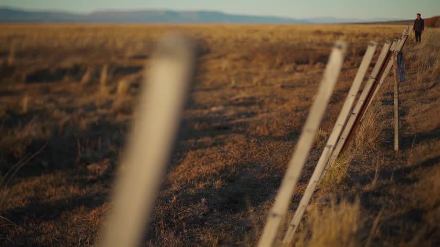 A person is walking along the fence by the field