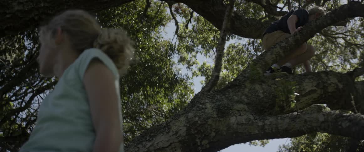 Boy and girl climb a tree