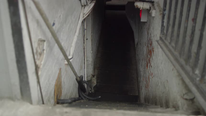 Flight of steps lead down to a dark passage