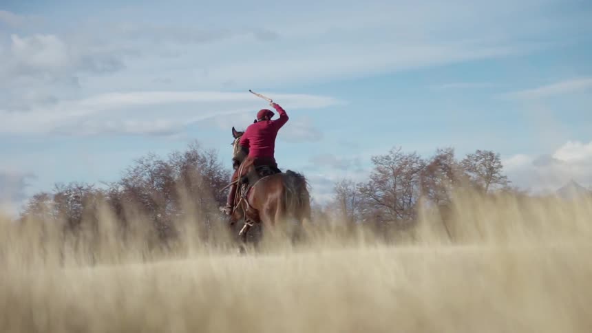 A person is whipping a horse as they ride over a field in daylight
