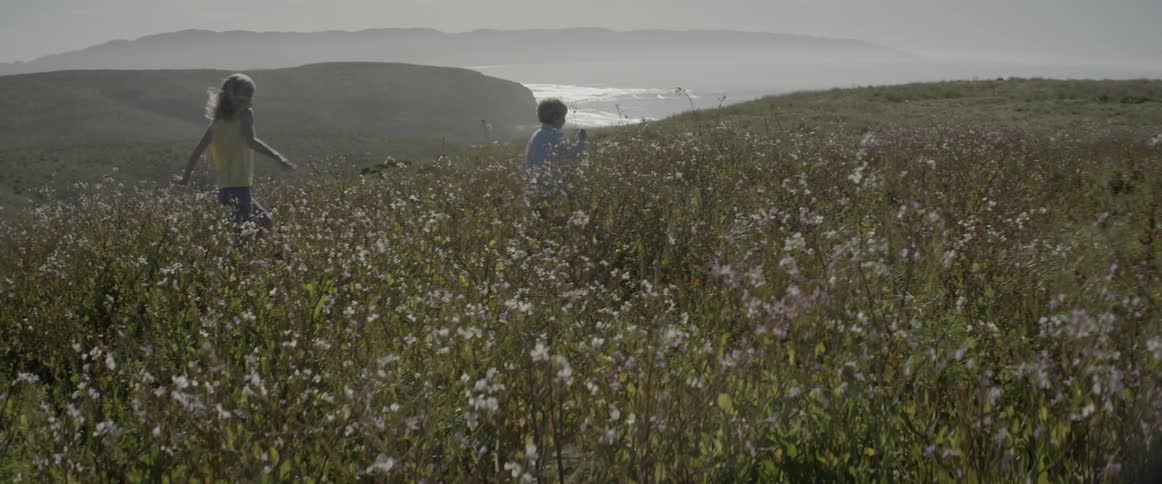 Children run on the hill covered with flowers