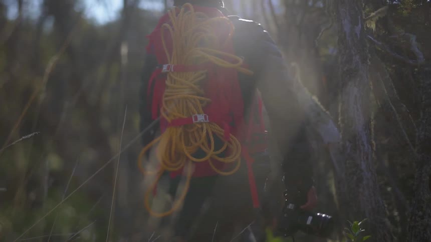 People are hiking in the forest together with climbing gear
