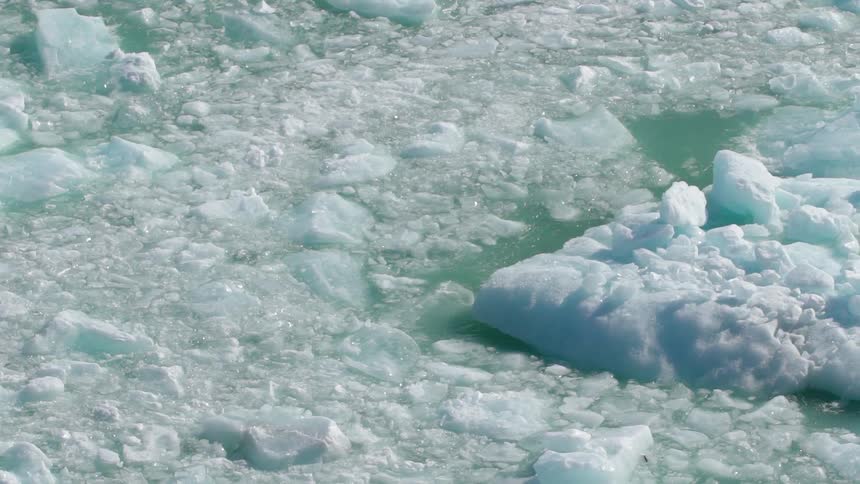 Chunks of ice and snow floating on water
