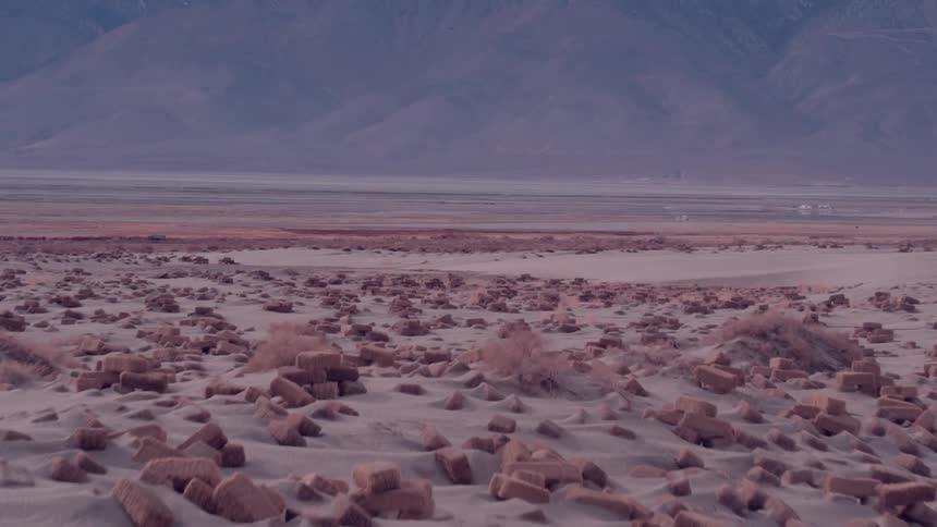 Two men walk in the sandy field