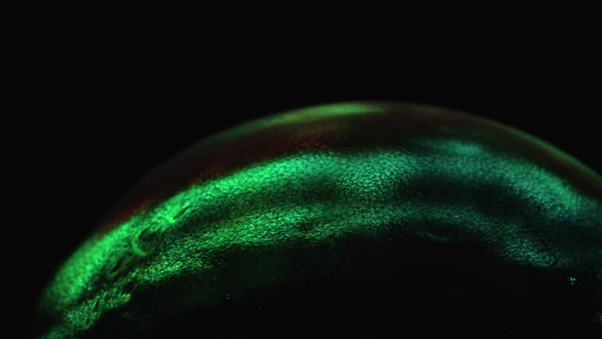 Color and light are fluorescing on a convex surface