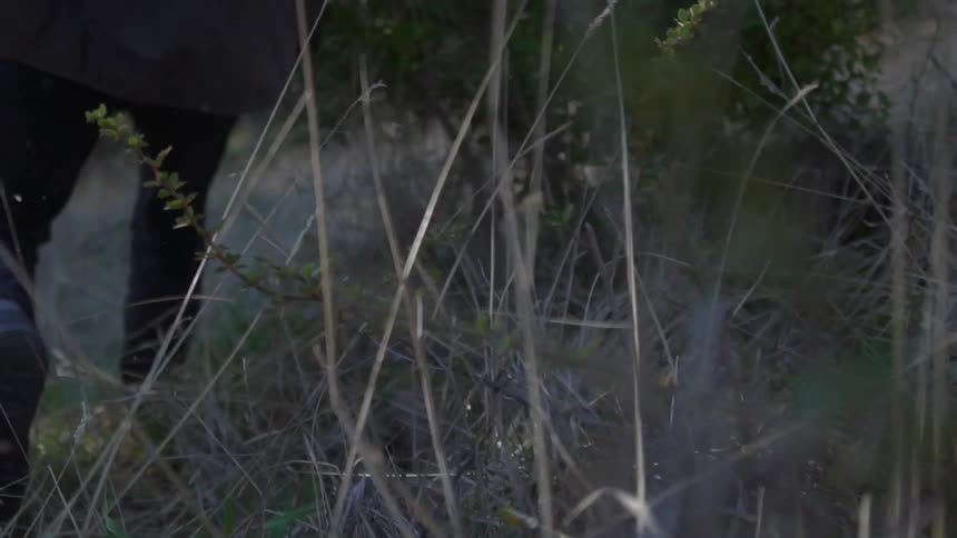 A man runs through grass in a forest