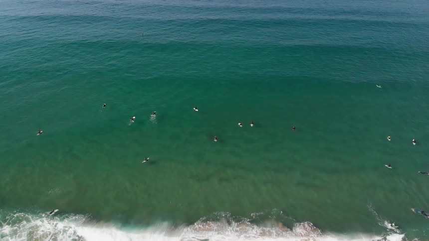 Surfers are floating in the ocean as they wait for waves on a sunny day