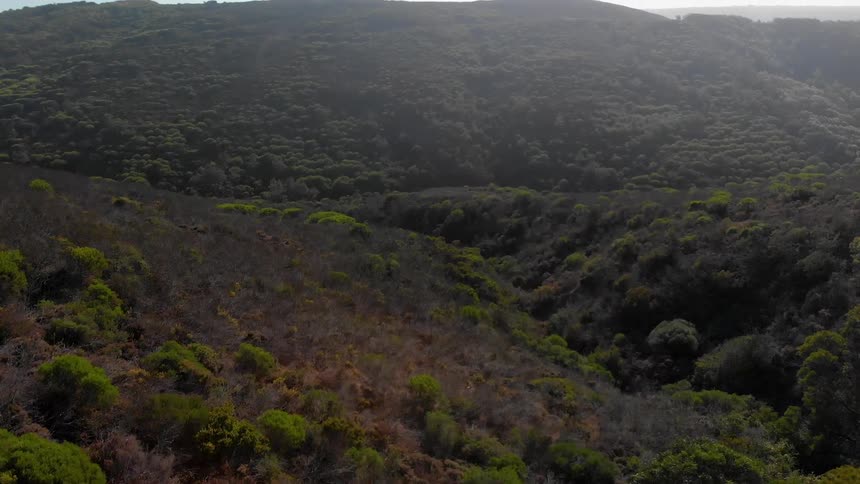 Passing over hills dotted with green trees and bushes