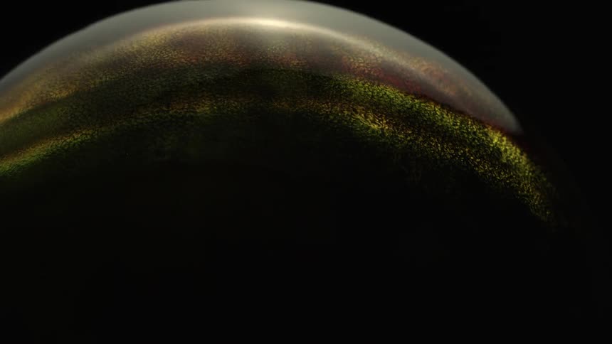 Colors and lights are projected onto a sphere