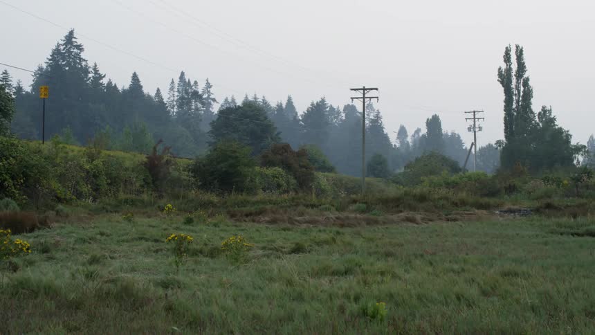The grassy fields leads to some power lines on the hill
