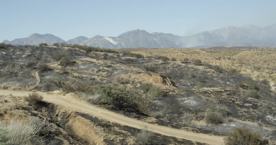 Shrubs and dirt cover the landscape