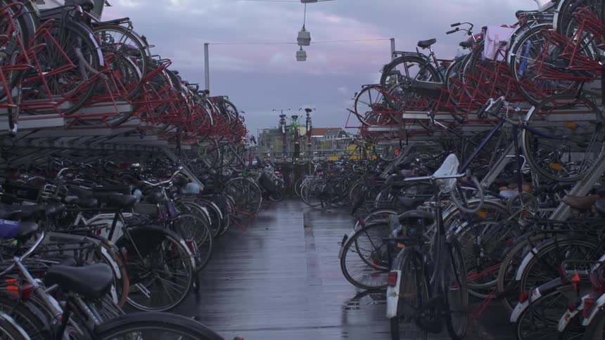 Bicycles sit in rows outside