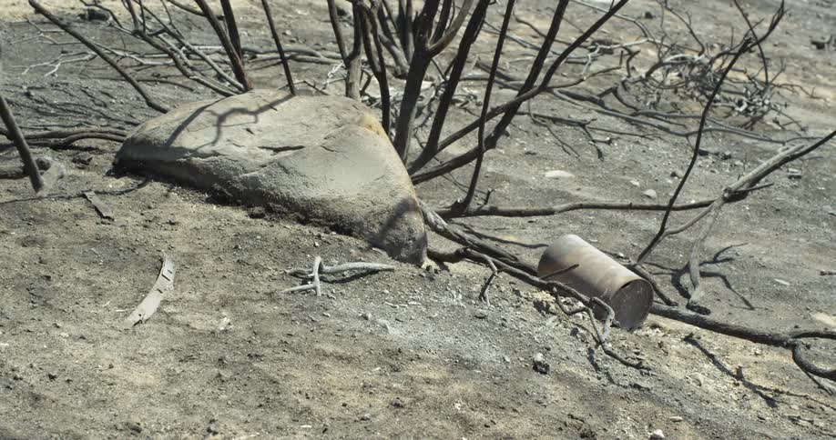 Ash covers the ground around a burned bush and rock in a desert landscape
