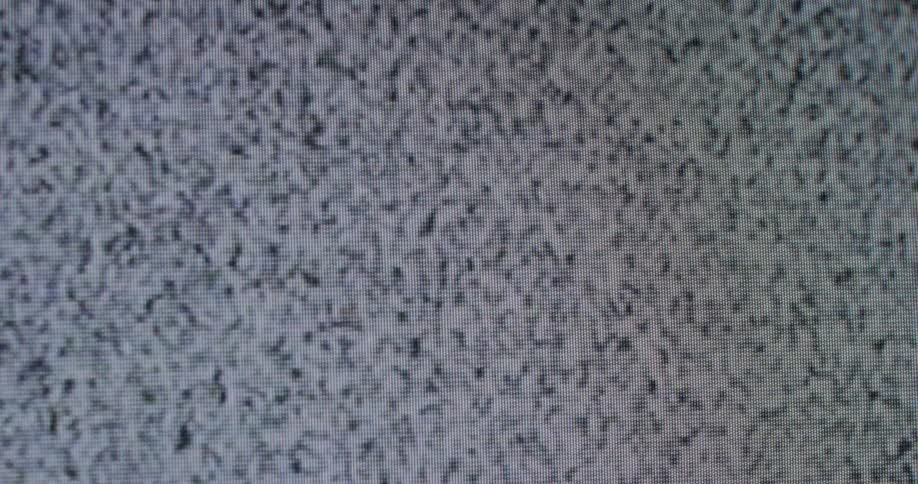 The screen is full of white and black static