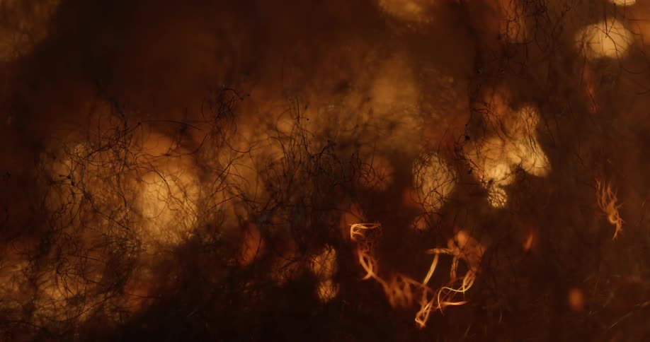 Fire burns over twigs and leaves at night
