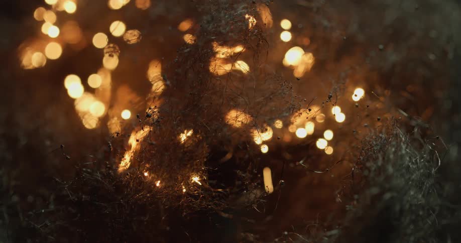 A fire burns outside at night