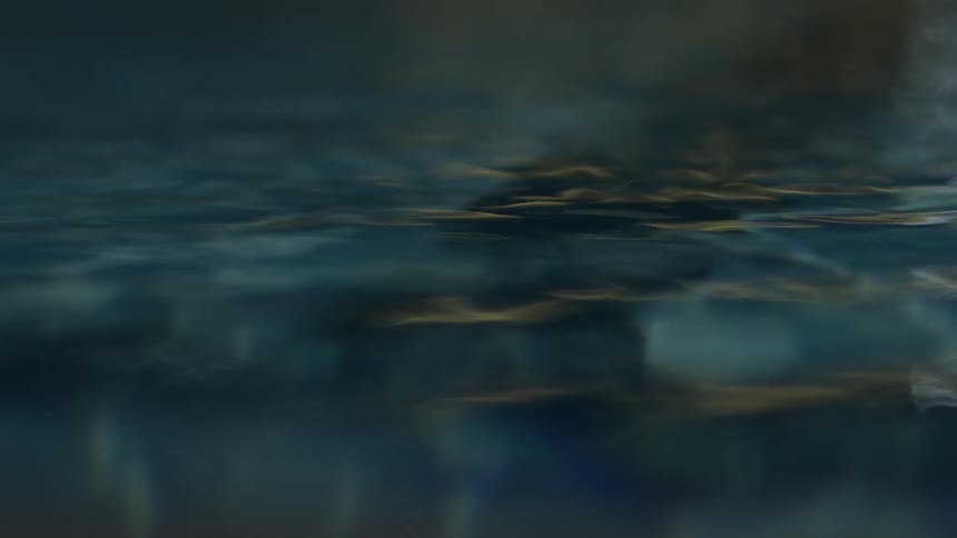 Water waves freely in a swimming pool