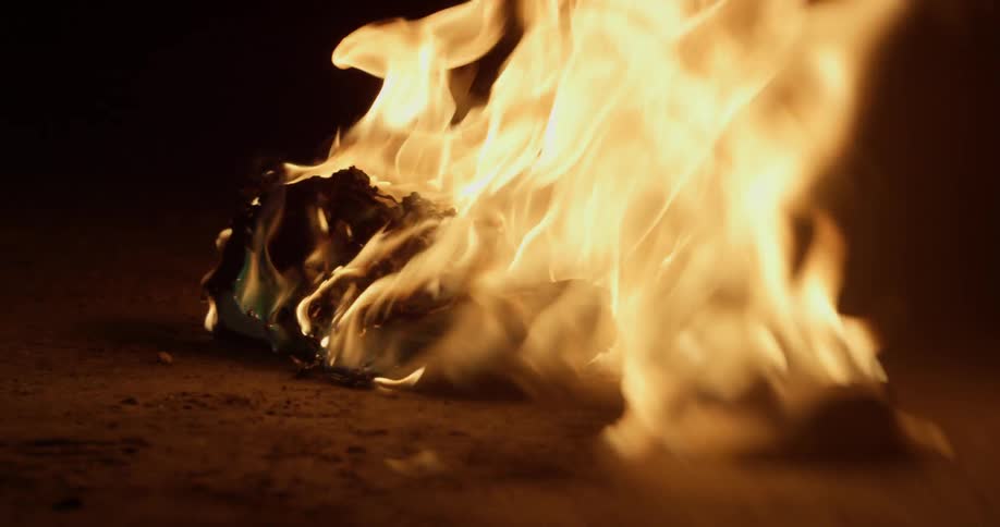 Logs on the ground burn on fire