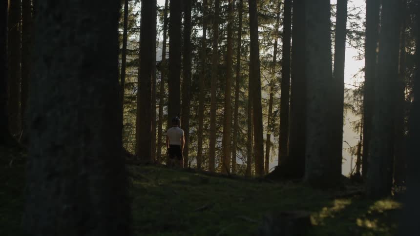 A man is standing in a forest looking up at the trees around him