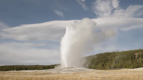 A geyser explodes near pine trees