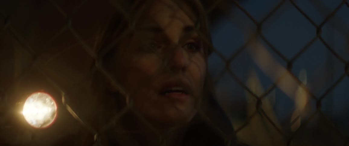 A woman is shouting through a fence after someone at dusk