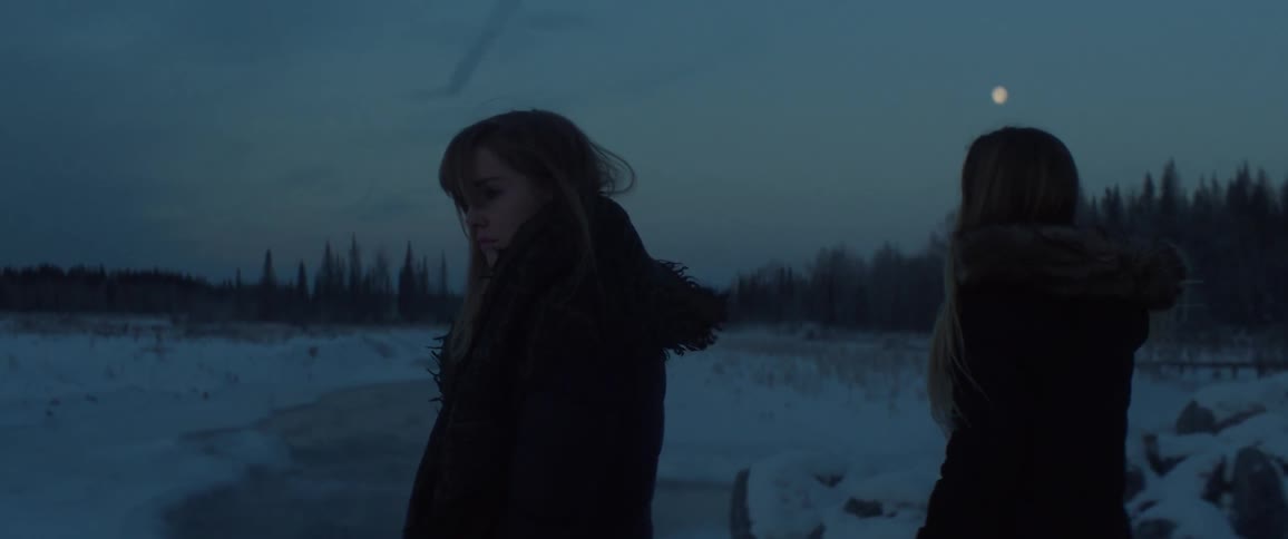 Two girls stand in a snowy field at dusk