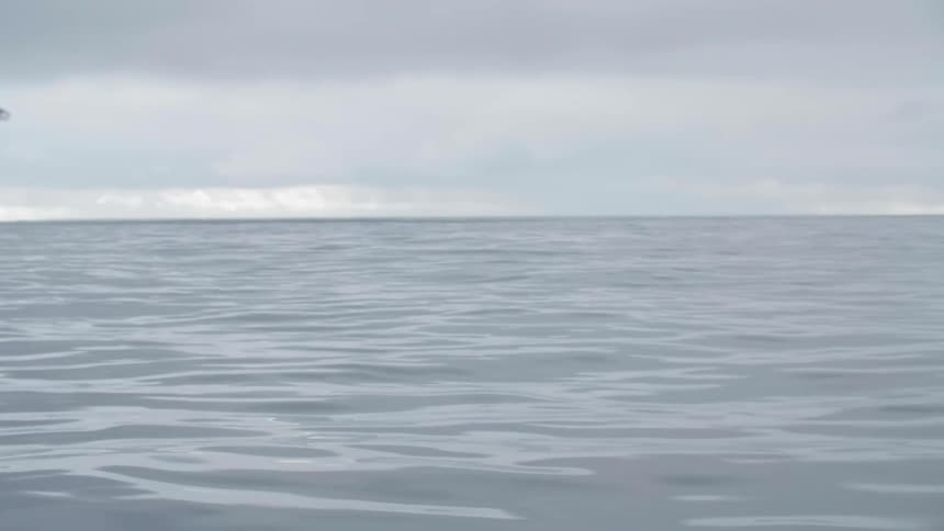Water ripples on the ocean