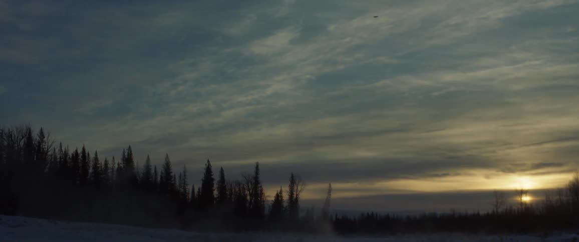 The sun is setting in the cloudy sky by the forest