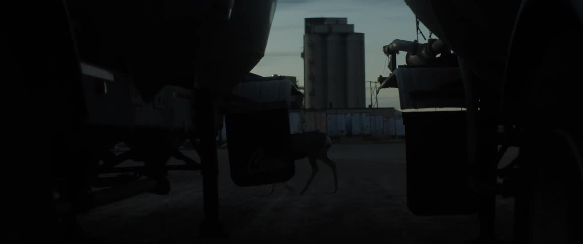 A deer is walking through an industrial plant at dusk