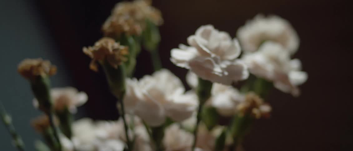 Some of the white flowers are wilted